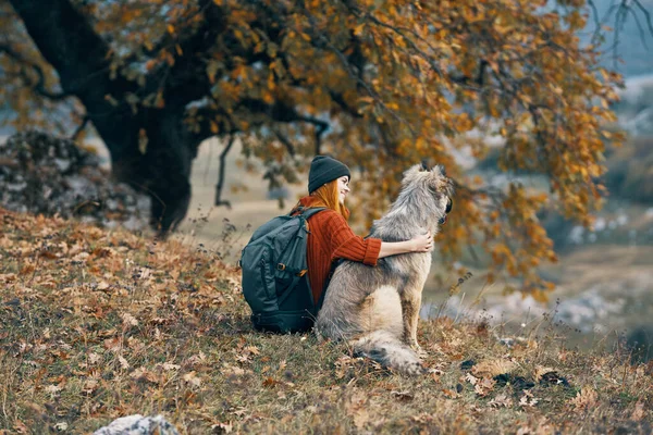 Mujer excursionista con perro en las montañas admira la naturaleza viaje —  Fotos de Stock