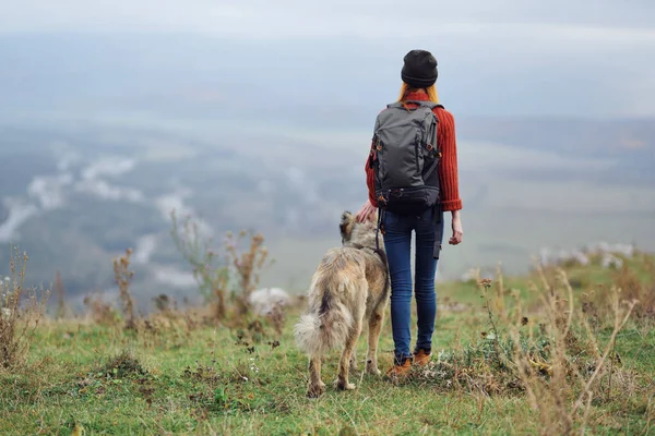 Mujer excursionista con mochila con perro en las montañas viaje amistad —  Fotos de Stock