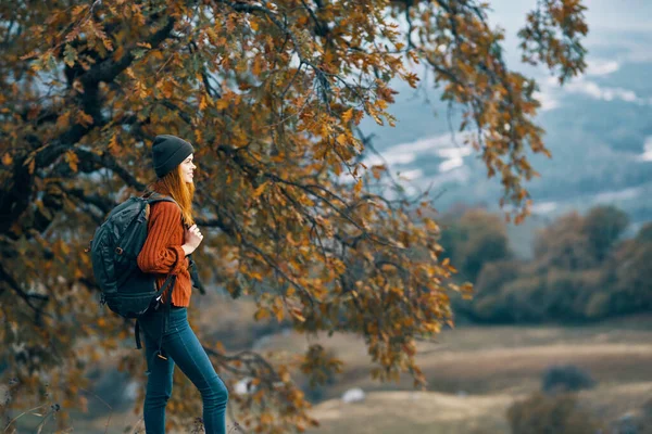 Donna escursionista a piedi in montagna albero viaggi paesaggio — Foto Stock