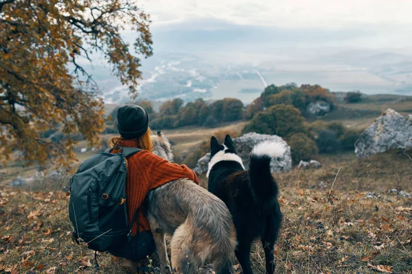 Mujer excursionista perros viaje amistad naturaleza paisaje —  Fotos de Stock
