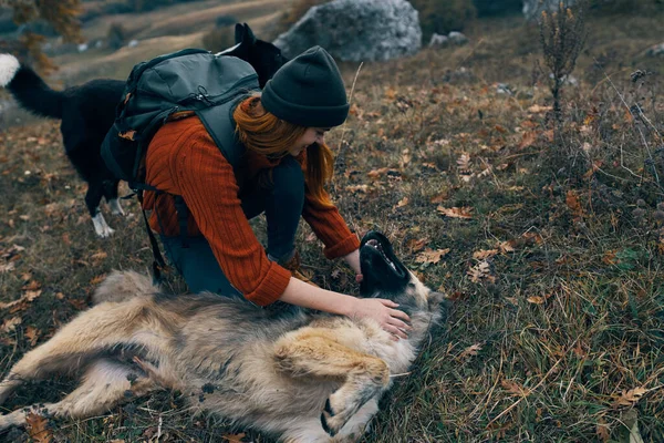 Mulher ao ar livre brincando com cão amizade viagens — Fotografia de Stock