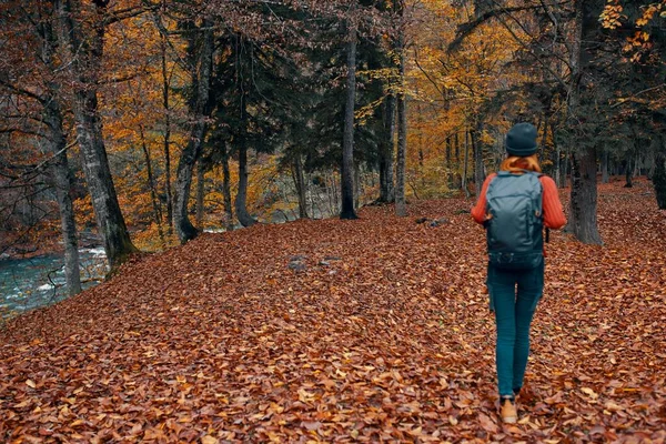 Vrouw toerist met een rugzak wandelen in het park met gevallen bladeren in de herfst in de natuur — Stockfoto