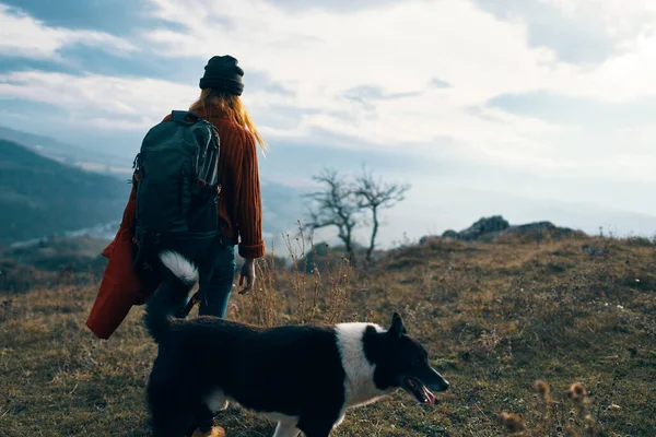 Mujer excursionista perro caminando naturaleza montañas paisaje —  Fotos de Stock