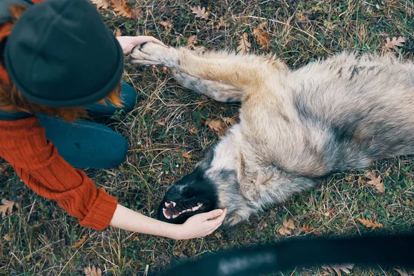 Mulher viagens turísticas brincando com cão diversão natureza — Fotografia de Stock