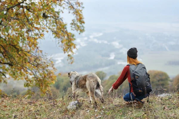 Vrouw buiten in de bergen naast de hond vriendschap reizen — Stockfoto