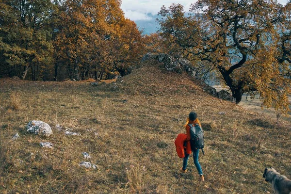 Mujer excursionista naturaleza paseo otoño bosque montañas —  Fotos de Stock