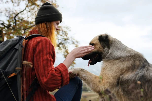 Mulher turista ao lado de cão natureza viagem paisagem — Fotografia de Stock