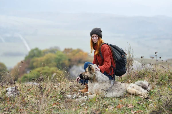 妇女徒步旅行者在户外与狗玩耍高山新鲜空气自然 — 图库照片