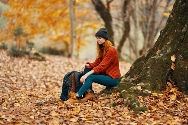 Kobieta siedzi w pobliżu drzewa w jesiennym lesie i spada liście park krajobrazowy — Zdjęcie stockowe