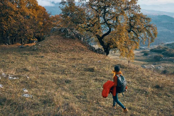 Vrouw wandelaar in de herfst kleding naast een hond wandelingen op de natuur bergen — Stockfoto