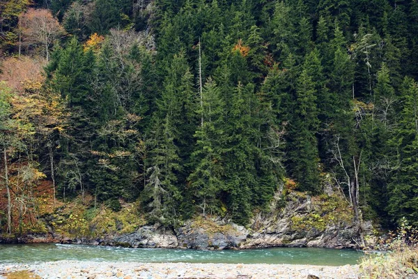 Outono árvores florestais montanhas rio paisagem natureza — Fotografia de Stock