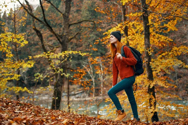 The traveler walks in nature in the park and tall trees yellow leaves river in the background landscape — Stock Photo, Image