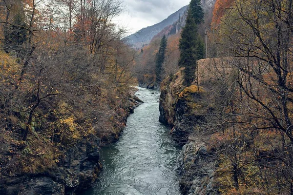 Ποτάμι μεταξύ των βουνών φθινόπωρο δάσος ταξιδεύουν φρέσκο αέρα — Φωτογραφία Αρχείου