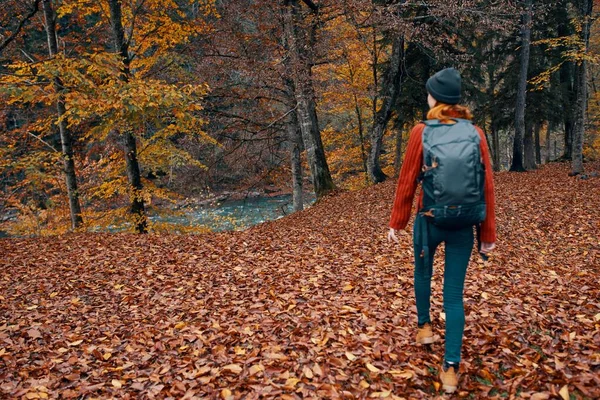 Turista mujer con una mochila caminando en el parque con hojas caídas en otoño en la naturaleza —  Fotos de Stock