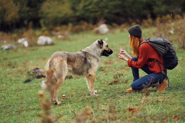Frau türkischer Hund im Freien reisen frische Luft Freundschaft Berge — Stockfoto
