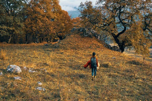 Vrouw wandelaar natuur wandeling herfst bos bergen — Stockfoto