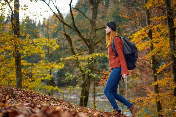 Wanderin spaziert im Park im Herbst Natur hohe Bäume Landschaft Blätter Modell — Stockfoto