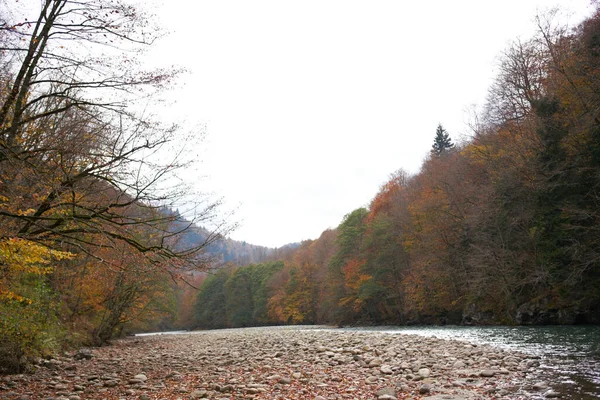 Rzeki góry jesień las krajobraz świeże powietrze natura — Zdjęcie stockowe