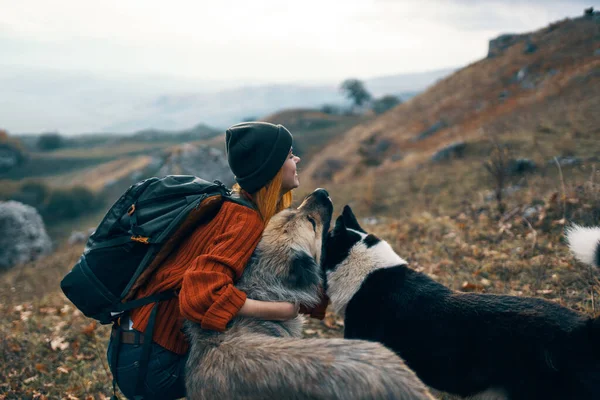 Vrolijk vrouw wandelaar buiten bergen honden reizen vriendschap — Stockfoto