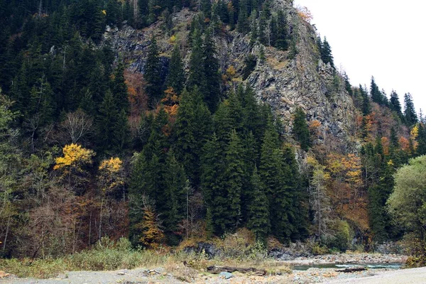 Automne forêt montagnes arbres paysage air frais — Photo