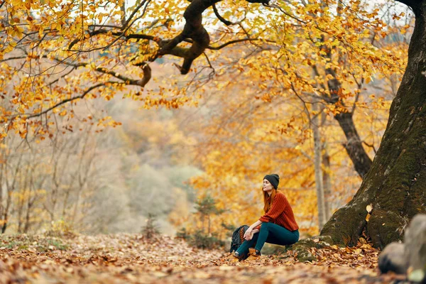 Vrouw met rugzak in de herfst bos zitten in de buurt van boom landschap frisse lucht park — Stockfoto