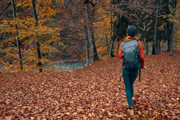 Felice giovane donna con uno zaino in stivali jeans e un maglione stanno camminando nella foresta autunnale vicino agli alberi alti — Foto Stock
