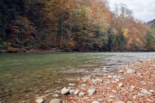 Ποταμός βουνά φθινόπωρο δάσος τοπίο φρέσκο αέρα φύση — Φωτογραφία Αρχείου