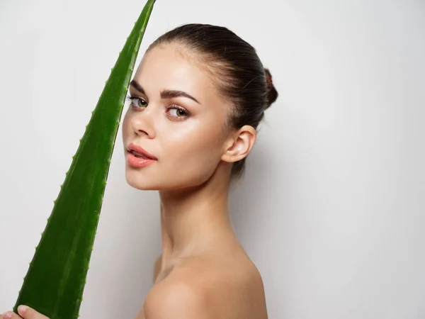 Maquillaje cara de mujer joven y hoja de aloe verde sobre fondo claro recortado ver —  Fotos de Stock