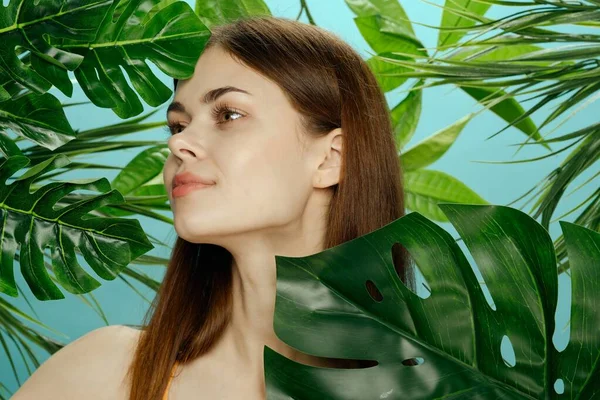 Mujer bonita hojas verdes hombros desnudos cosméticos piel clara exótica —  Fotos de Stock