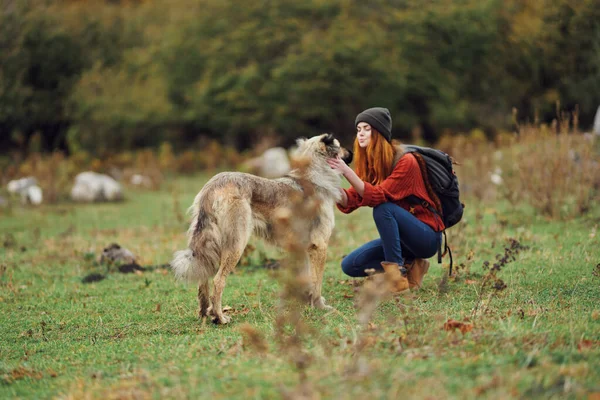 woman hiker walking the dog friendship travel freedom mountains