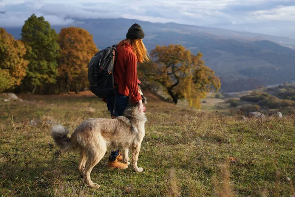 Mujeres excursionistas al lado de perro paseo montañas bosque de otoño —  Fotos de Stock