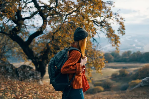 가을 숲 속을 여행하는 여성 여행객 — 스톡 사진