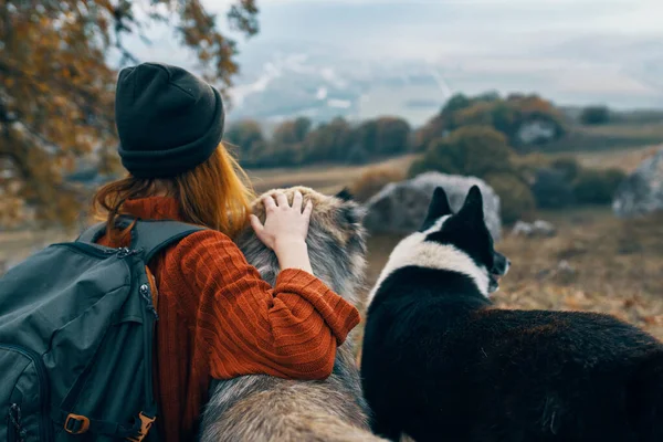Γυναίκα πεζοπόρος στη φύση χάιδεμα σκυλιών φιλία διασκέδαση — Φωτογραφία Αρχείου
