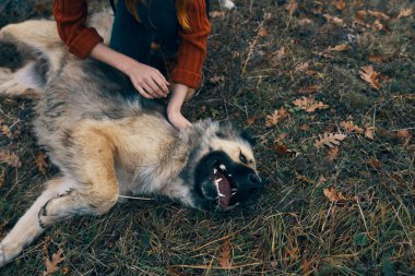 Kadın dışarıda köpek arkadaşlığı ile oynuyor.