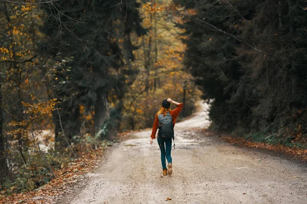 Mulher viaja na floresta de outono na estrada paisagem árvores altas mochila modelo — Fotografia de Stock