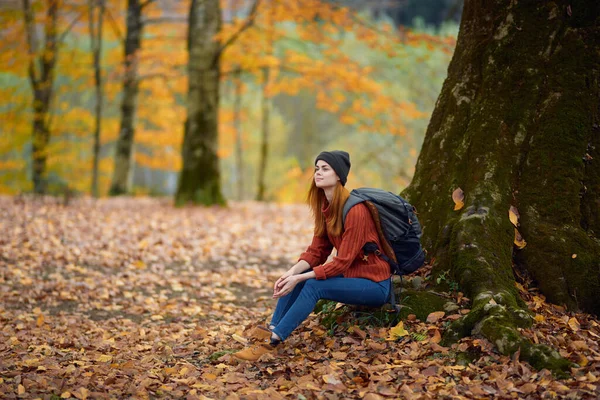 Portret kobiety w swetrze i dżinsach i kapelusz pod drzewem w jesiennym lesie — Zdjęcie stockowe