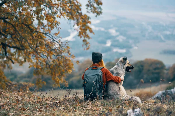 Mujer excursionista junto a perro amistad naturaleza montañas viaje —  Fotos de Stock