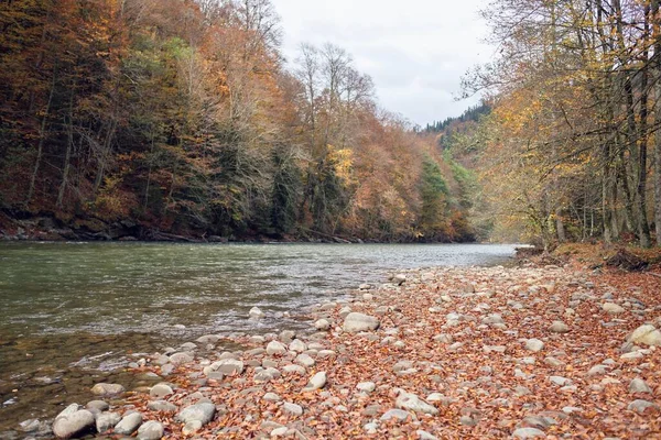 Rio montanhas outono floresta paisagem ar fresco natureza — Fotografia de Stock