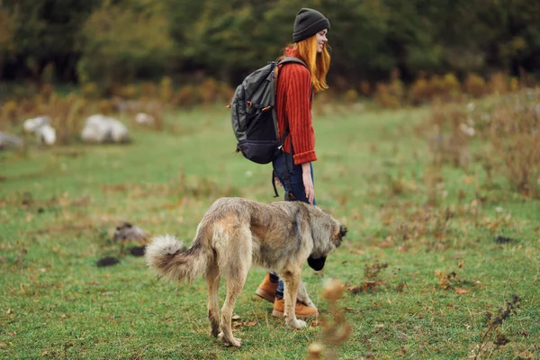 Mujer excursionista paseando el perro en la naturaleza en el bosque viaje amistad —  Fotos de Stock