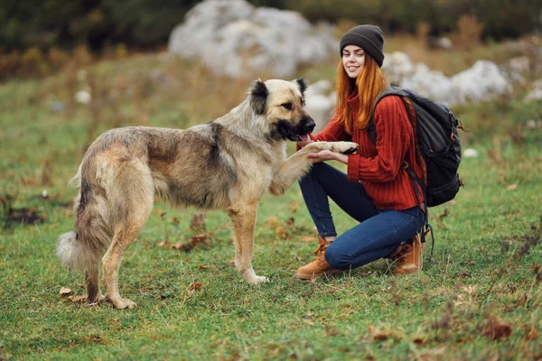 Mulher cão turco ao ar livre viajar fresco ar amizade montanhas — Fotografia de Stock