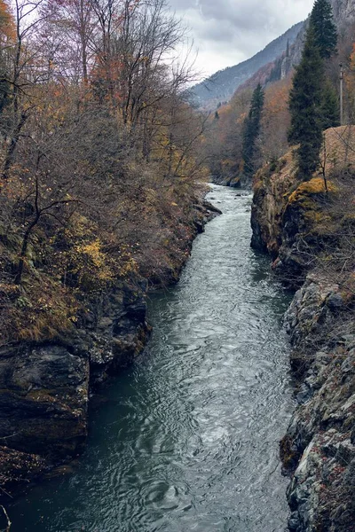 Rivière entre les montagnes automne forêt Voyage air frais — Photo