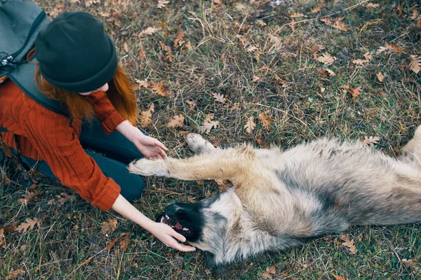 Mujer turista viaje jugando con perro diversión naturaleza —  Fotos de Stock