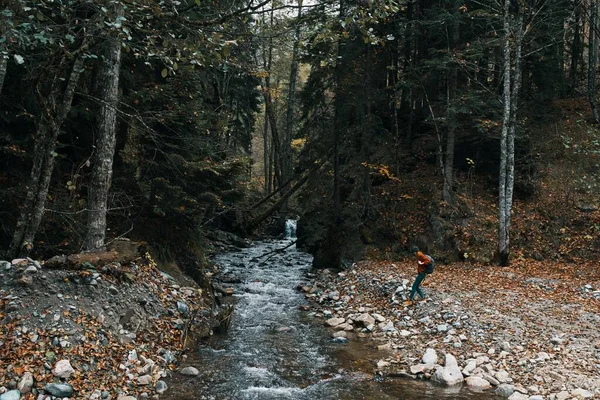 Fiume di montagna alberi alti foresta paesaggio autunno donna viaggi turismo — Foto Stock