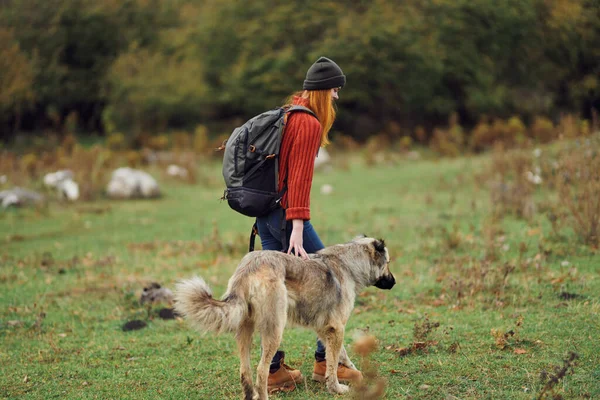 woman hiker walking the dog in nature in the forest travel friendship