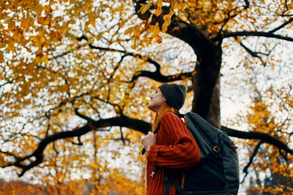 Mooie vrouw in een trui hoed met een rugzak wandelingen in het park met gevallen bladeren in de buurt van de bomen — Stockfoto