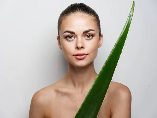Retrato da jovem mulher rosto maquiagem cosmetologia pele limpa verde folha de aloés — Fotografia de Stock