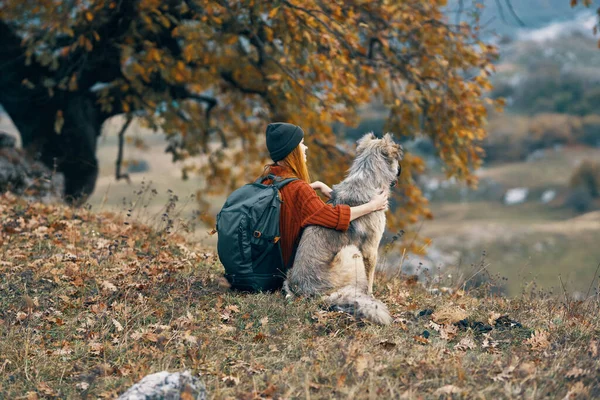 Mujer excursionista con una mochila al lado de un perro admira la naturaleza de la montaña —  Fotos de Stock