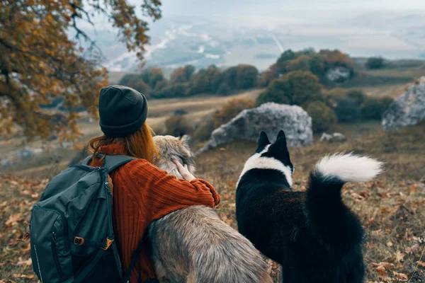 Mujer excursionista en la naturaleza con perros aventura viaje —  Fotos de Stock
