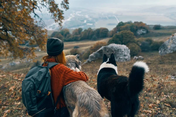 Жінка пішки на природі з собаками пригоди подорожі — стокове фото