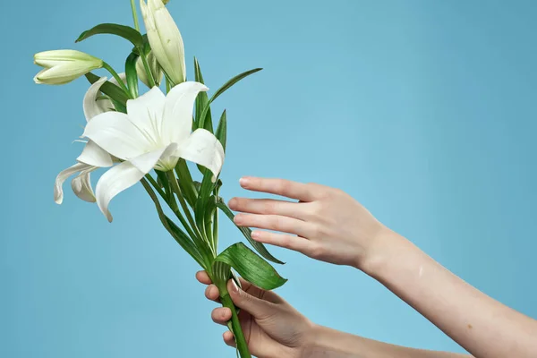 Un ramo de flores en las manos de una mujer de fondo azul — Foto de Stock